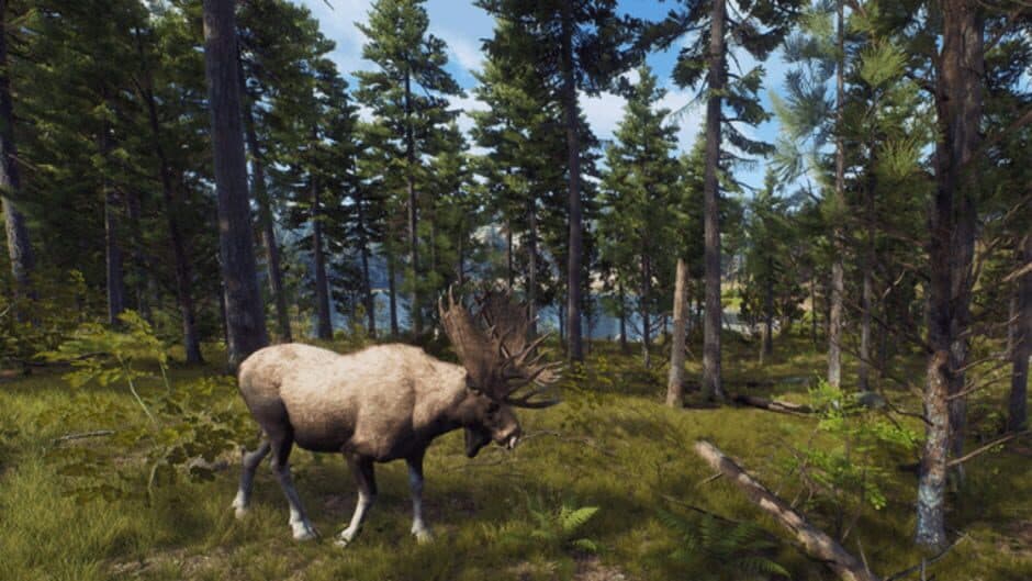 Скриншот 4 из Way of the Hunter: Wild Expeditions