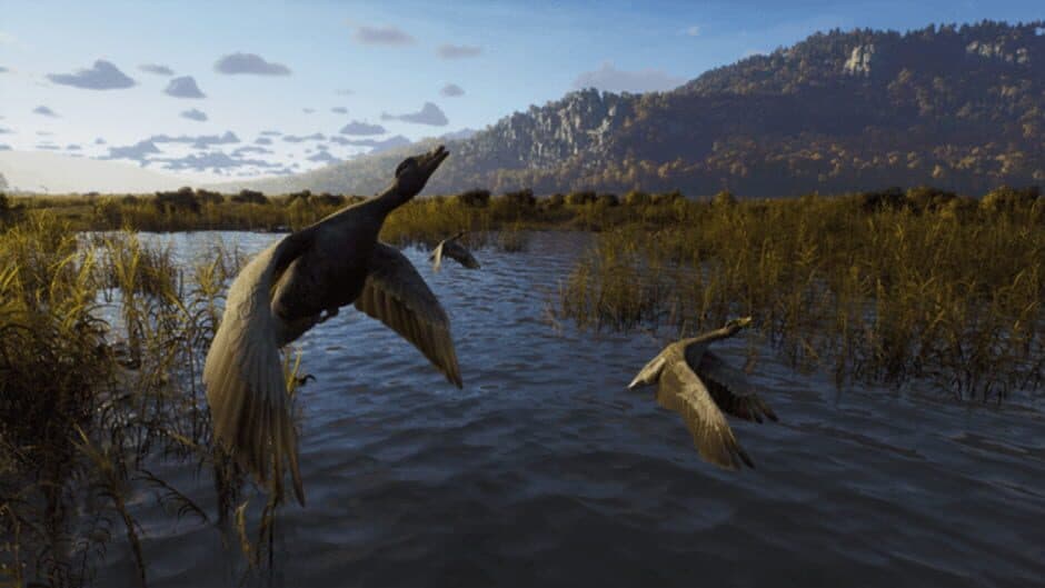 Скриншот 5 из Way of the Hunter: Wild Expeditions