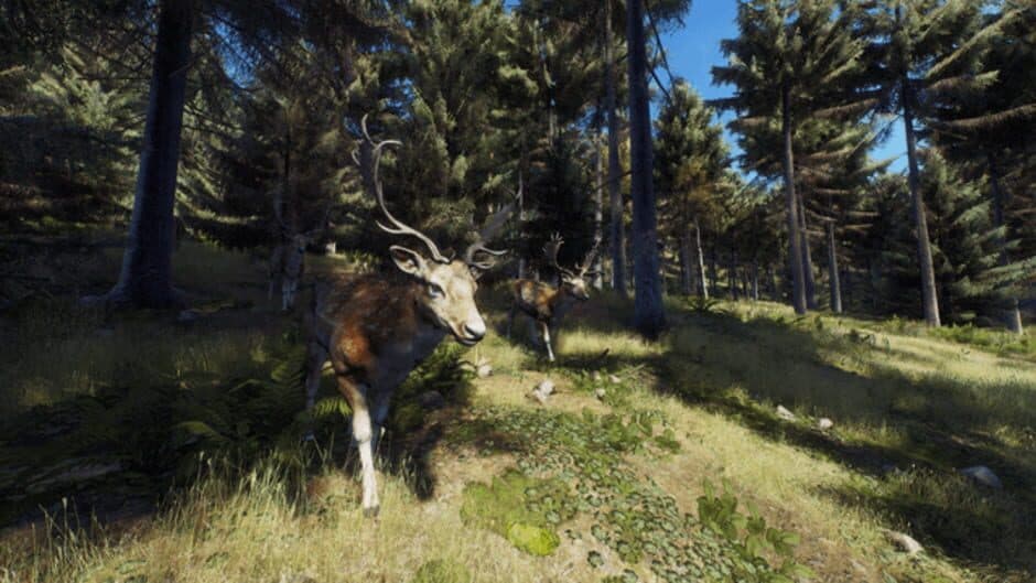 Скриншот 6 из Way of the Hunter: Wild Expeditions