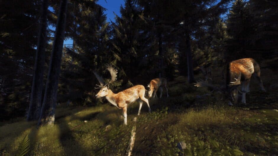 Скриншот 10 из Way of the Hunter: Wild Expeditions