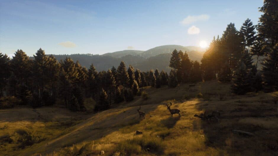 Скриншот 11 из Way of the Hunter: Wild Expeditions