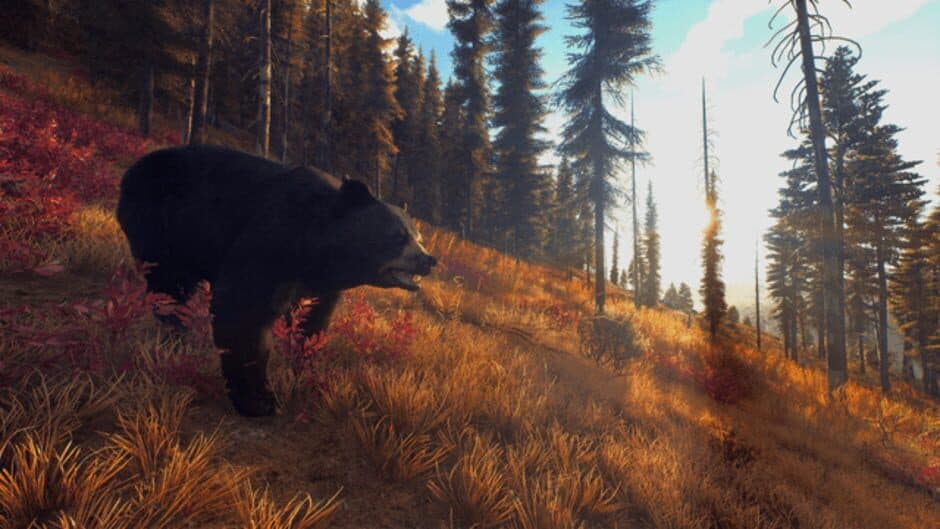 Скриншот 12 из Way of the Hunter: Wild Expeditions