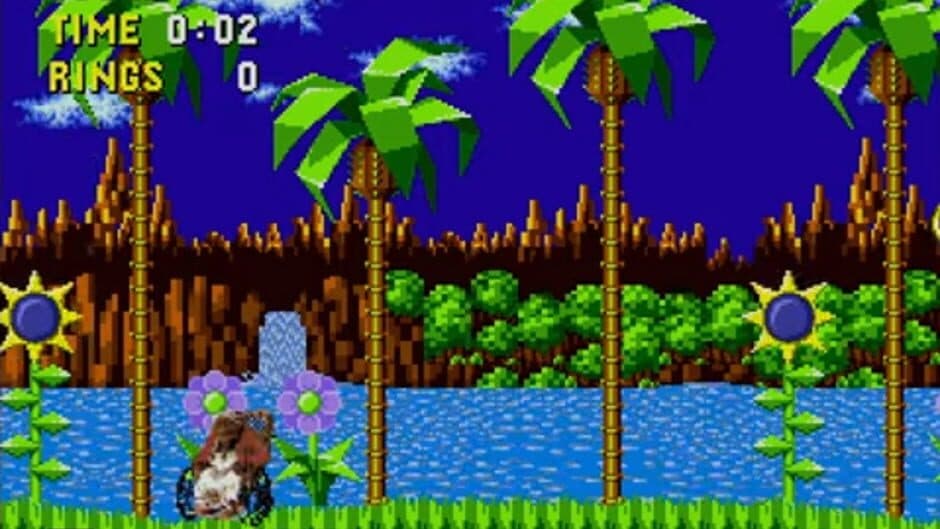 Скриншот 1 из The Grandma from Coco in Sonic 1