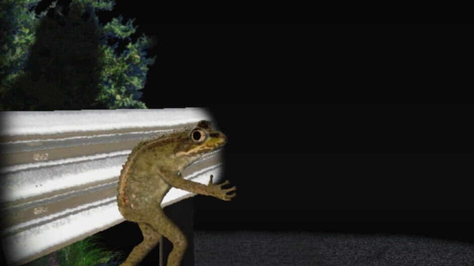 Скриншот 1 из The Loveland Frog