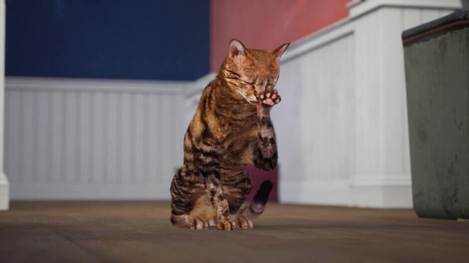 Скриншот 4 из Cat Simulator: Neighbor's Nightmare