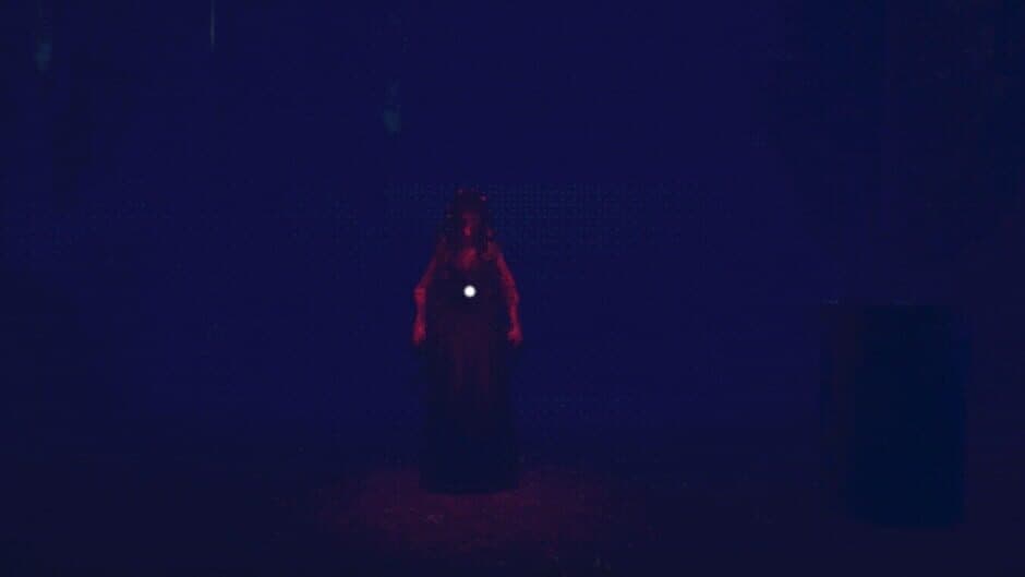 Скриншот 6 из The Devil's Bride