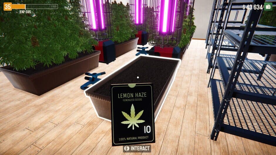 Скриншот 2 из Weed Lord Simulator
