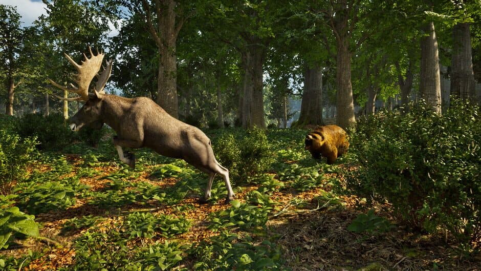 Скриншот 8 из Park Ranger Simulator