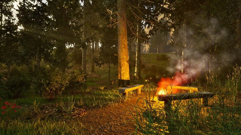 Скриншот 10 из Park Ranger Simulator