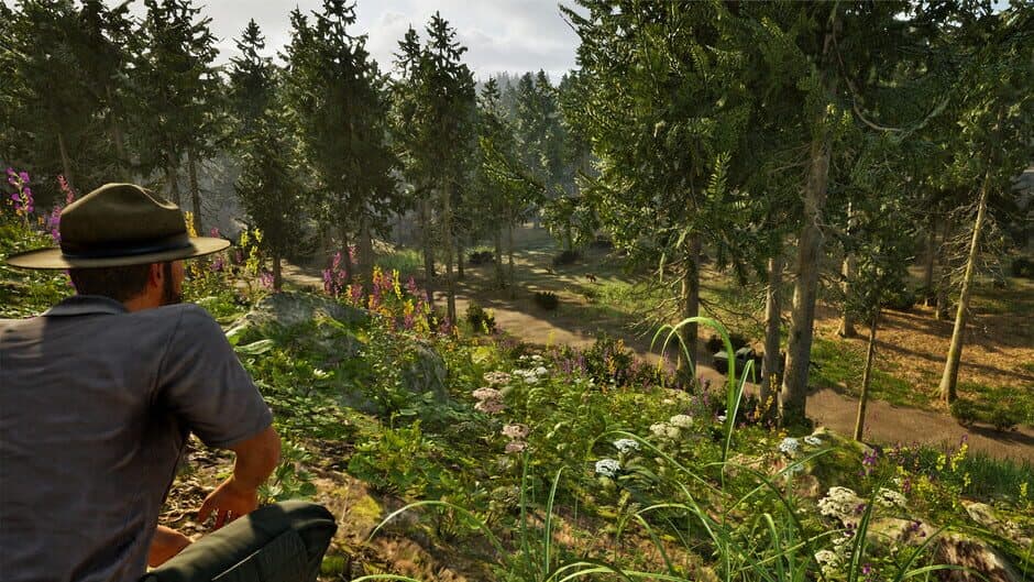 Скриншот 1 из Park Ranger Simulator