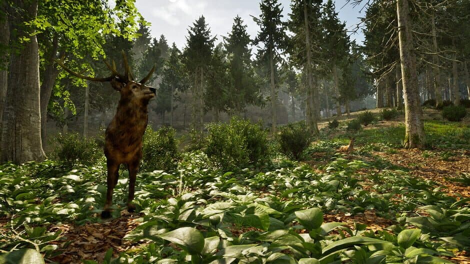 Скриншот 2 из Park Ranger Simulator