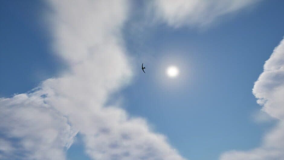 Скриншот 1 из APUS: Bird Simulator