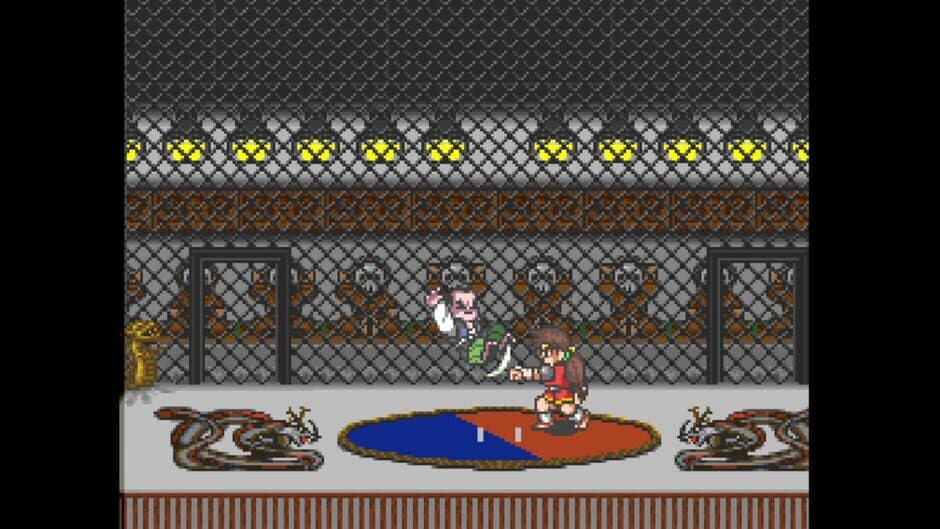 Скриншот 5 из Justice Ninja Casey