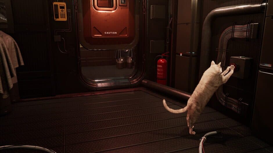 Скриншот 3 из Catfall