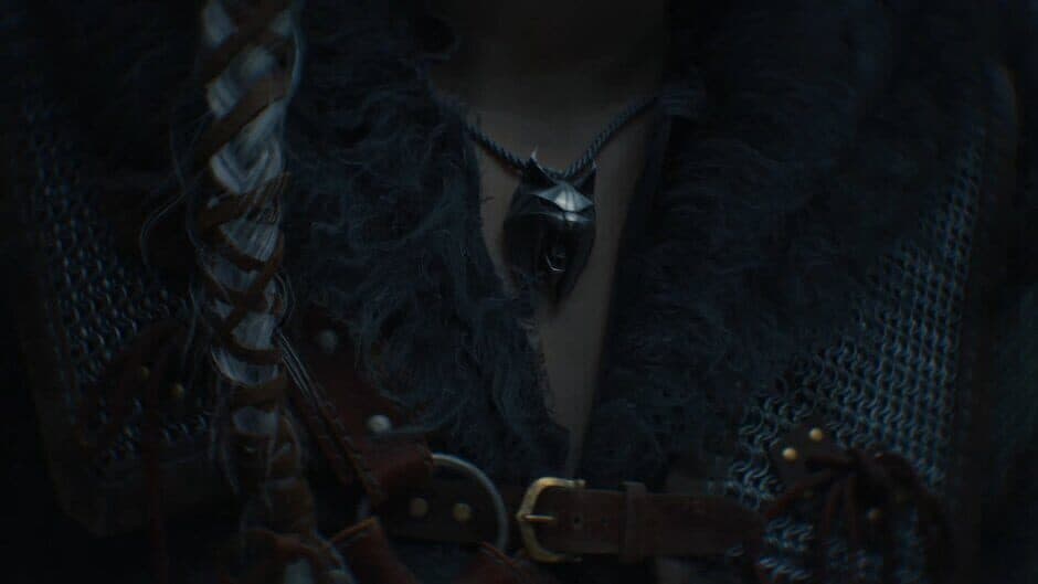 Скриншот 3 из The Witcher IV