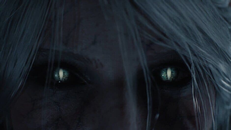 Скриншот 4 из The Witcher IV