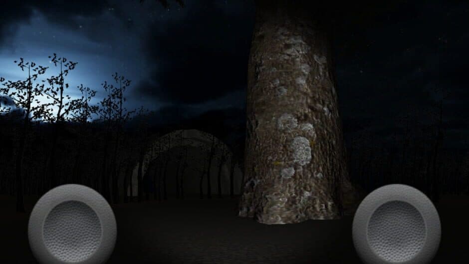 Скриншот 5 из SlenderMan's Forest