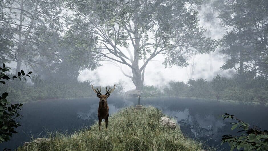 Скриншот 1 из TheLostWoods