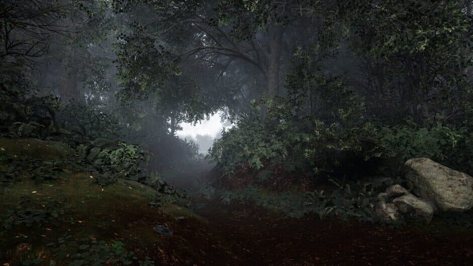 Скриншот 2 из TheLostWoods
