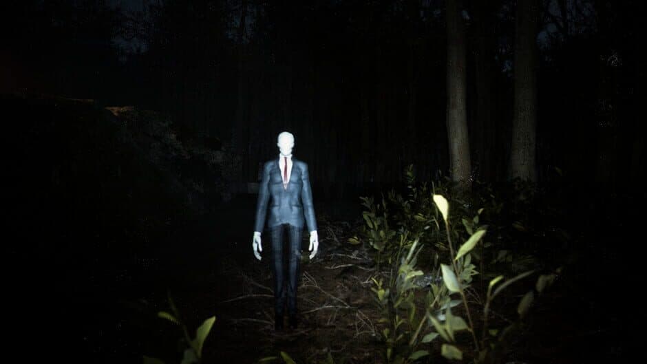 Скриншот 4 из Slender: Reborn