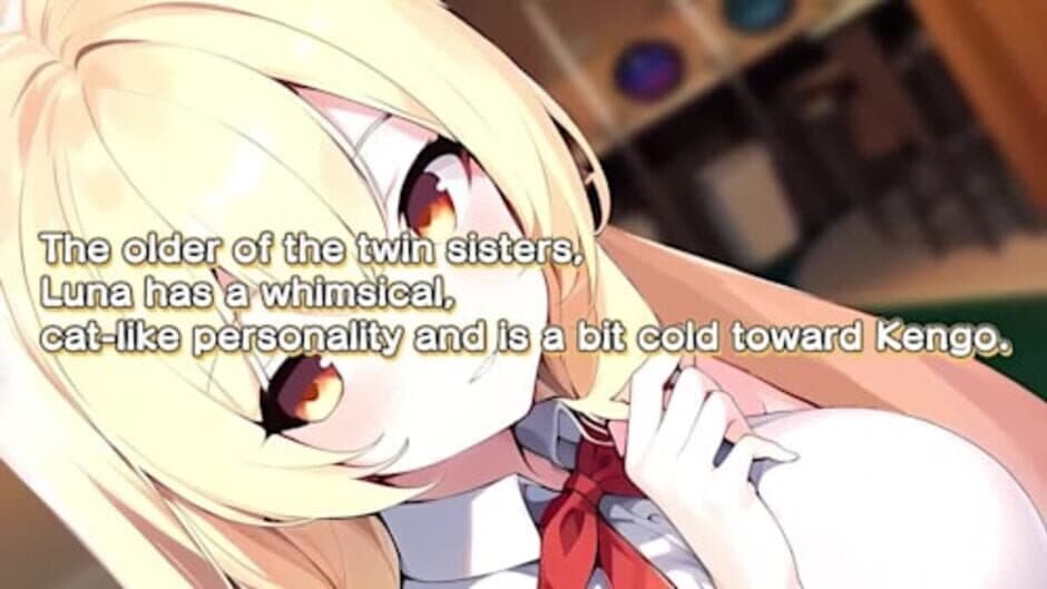 Скриншот 1 из Furry Twins Oshikake Kemomimi Twins