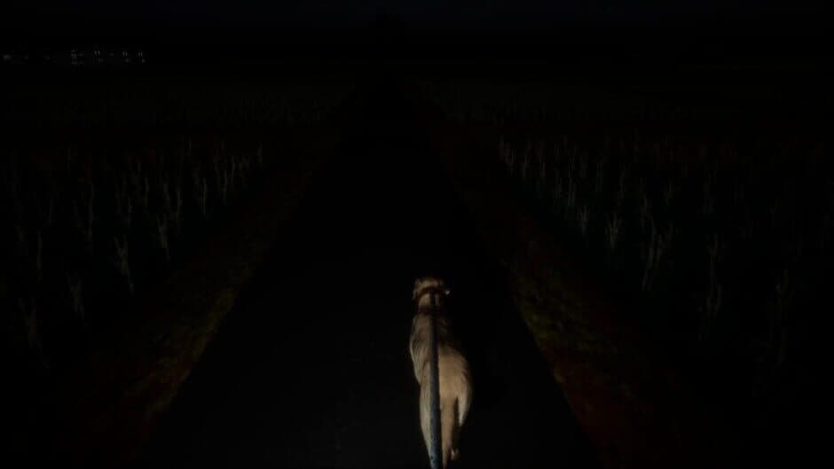 Скриншот 5 из The Paddy Field