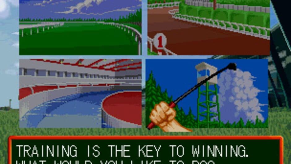 Скриншот 5 из Stakes Winner 2