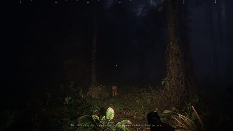 Скриншот 2 из Saci: The Cursed Hunt