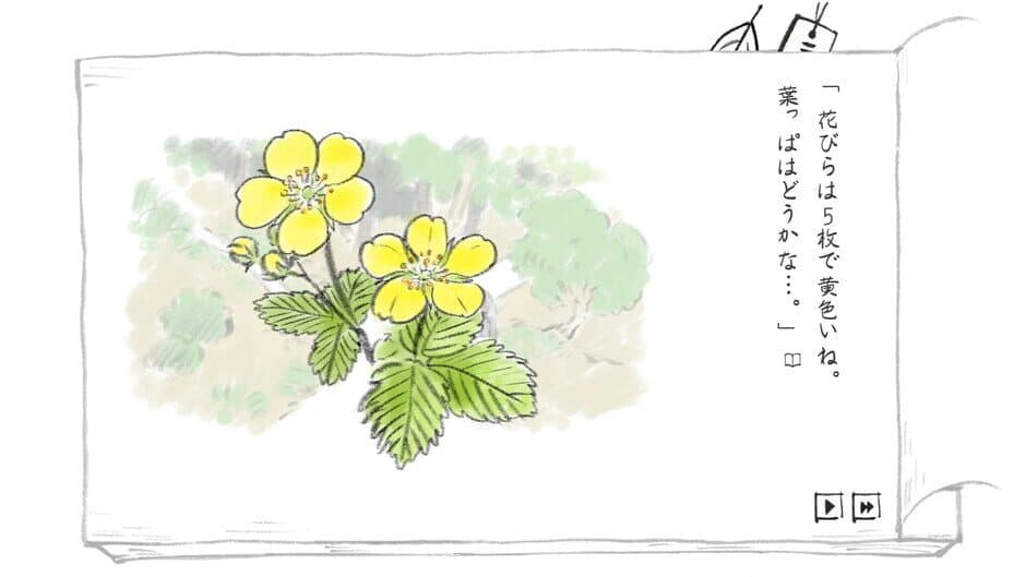Скриншот 5 из Satoyama Note: Spring Walk