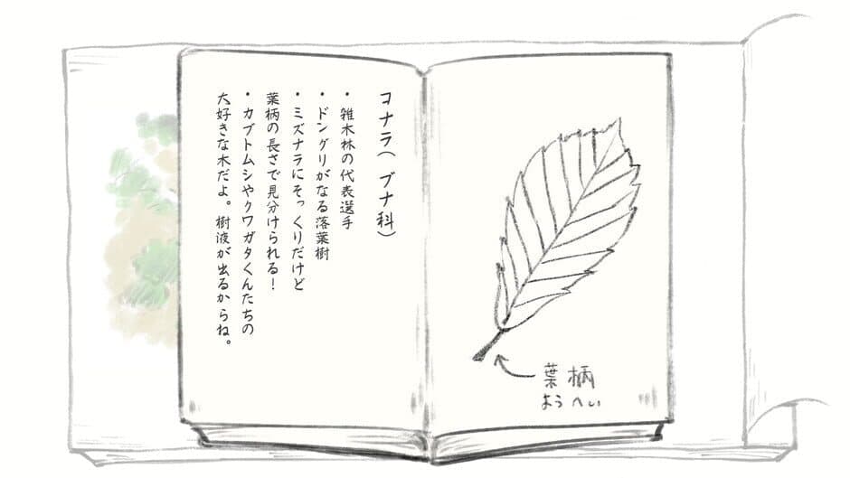 Скриншот 7 из Satoyama Note: Spring Walk