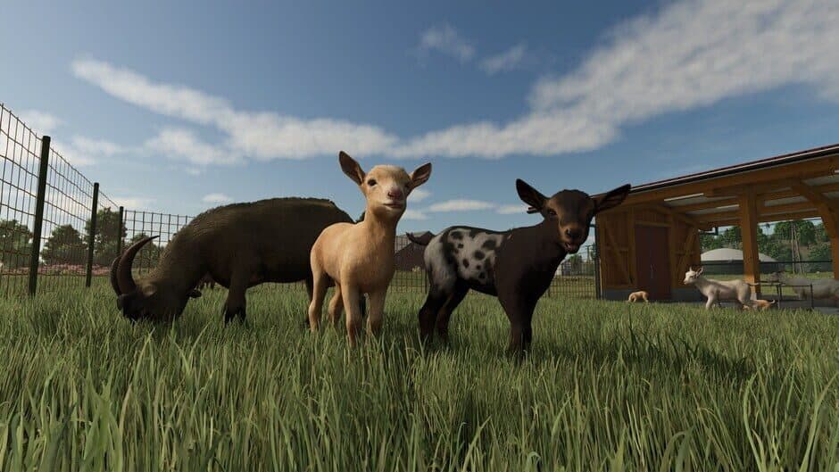 Скриншот 4 из Farming Simulator 25: Year 1 Bundle