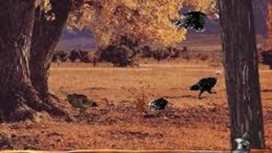 Скриншот 2 из Turkey Hunting USA