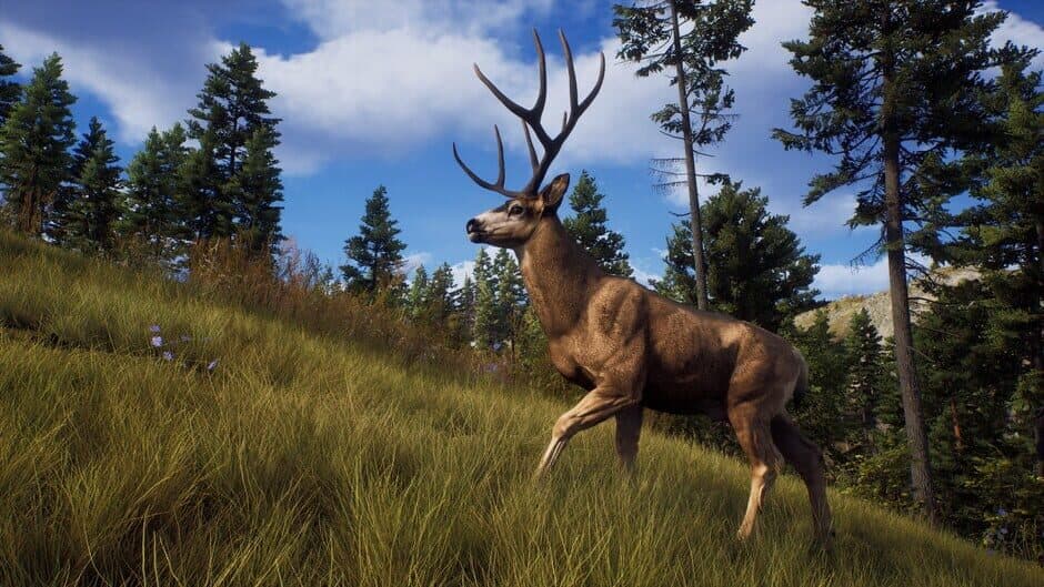 Скриншот 5 из Way of the Hunter: Ultimate Edition