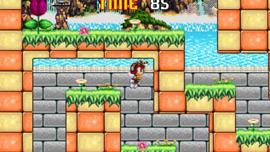 Скриншот 1 из Charmy Maze