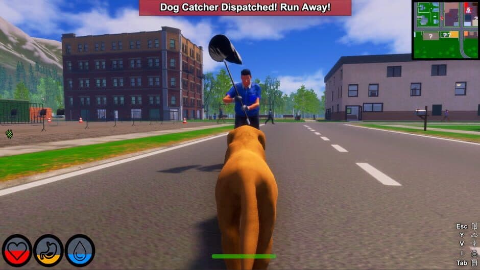 Скриншот 10 из Lost Paws