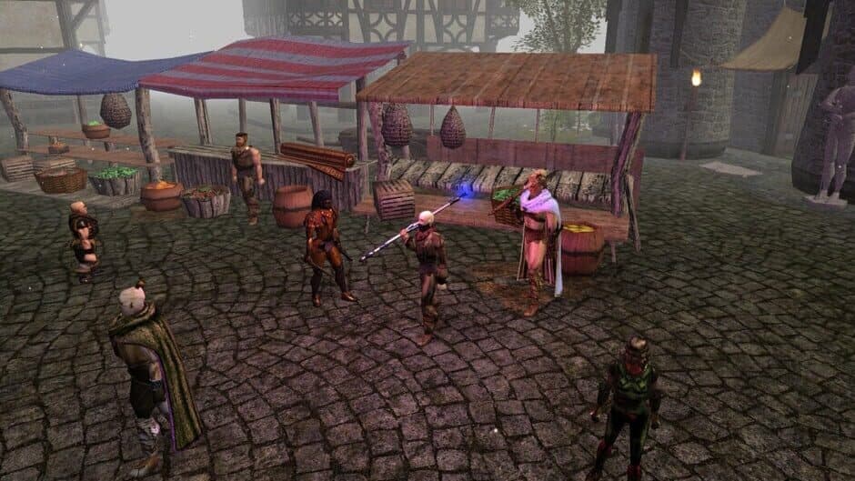 Скриншот 5 из Neverwinter Nights: Enhanced Edition - Doom of Icewind Dale
