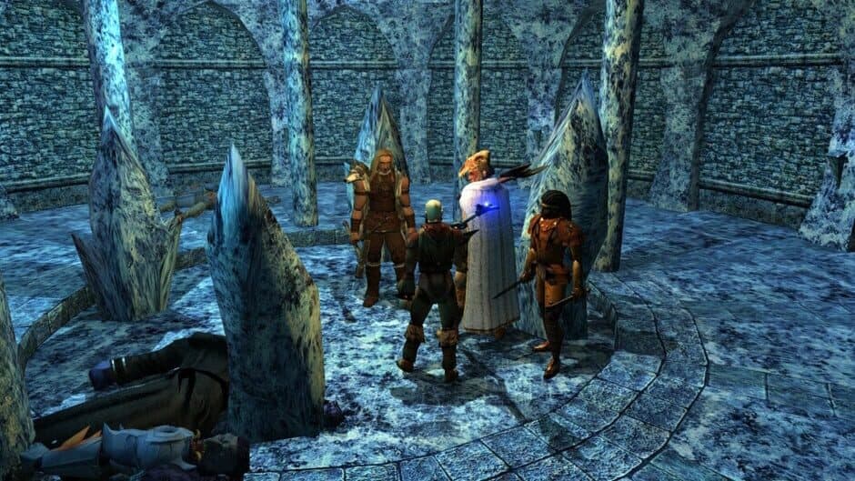 Скриншот 4 из Neverwinter Nights: Enhanced Edition - Doom of Icewind Dale