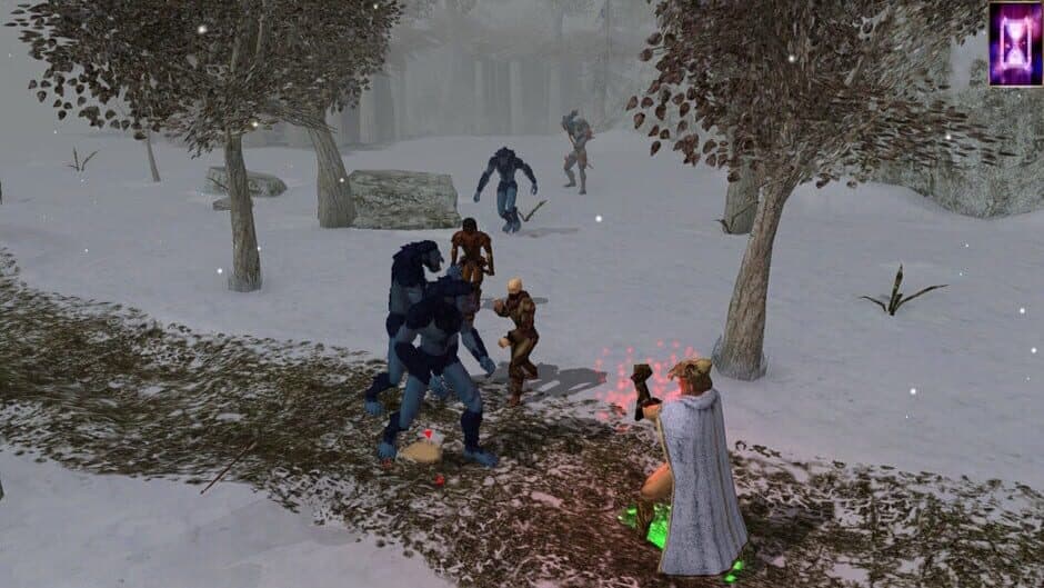 Скриншот 2 из Neverwinter Nights: Enhanced Edition - Doom of Icewind Dale