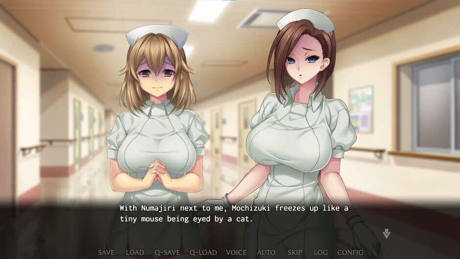 Скриншот 2 из Nope Nope Nope Nurses
