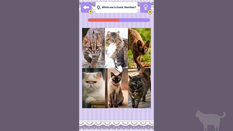 Скриншот 2 из Cat Spotting Challenge!