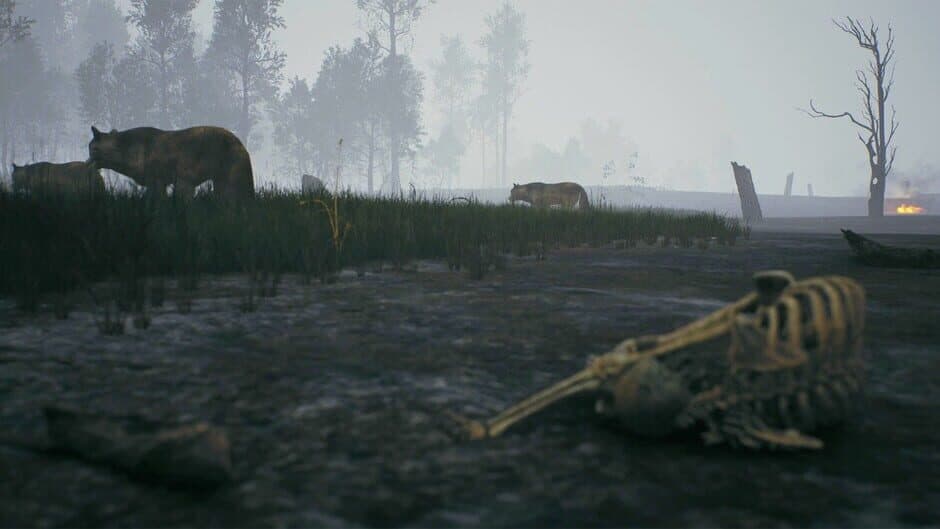 Скриншот 11 из Fire: The First Dreamer