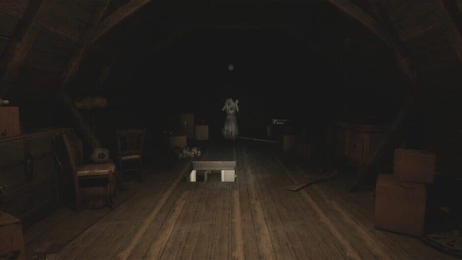 Скриншот 3 из House of Lost Souls