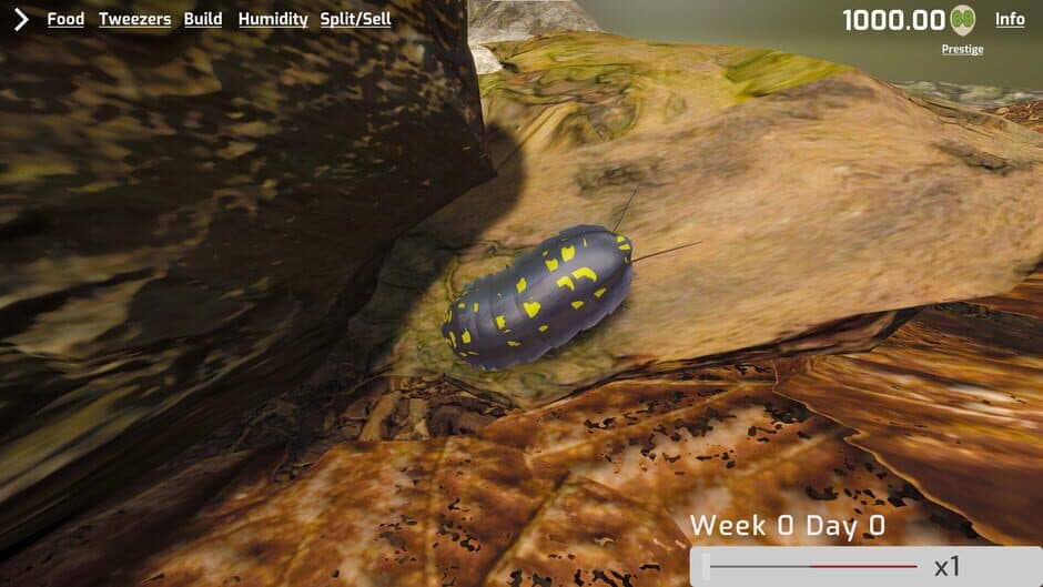Скриншот 1 из Isopod Keeping Simulator