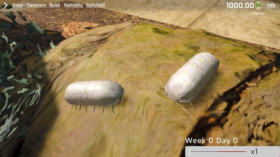 Скриншот 3 из Isopod Keeping Simulator