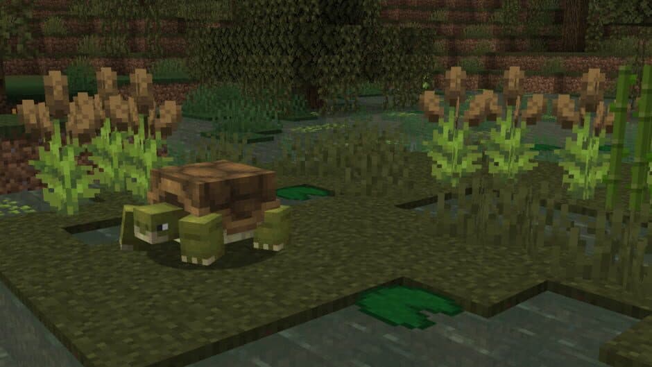 Скриншот 2 из Naturalist