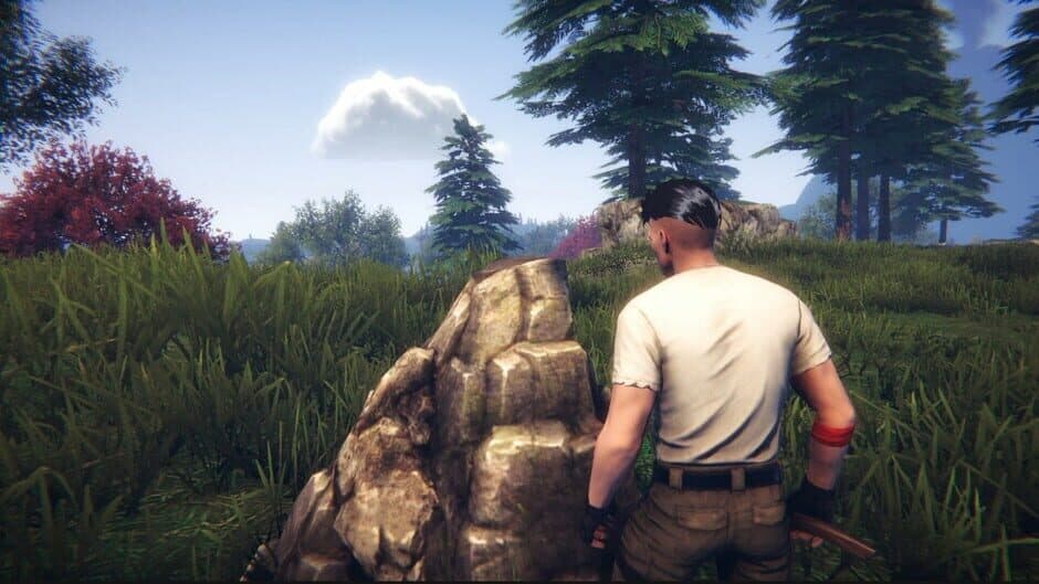 Скриншот 3 из Survival and Rise: Being Alive