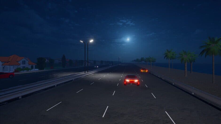 Скриншот 2 из Motorcycle Night Ride