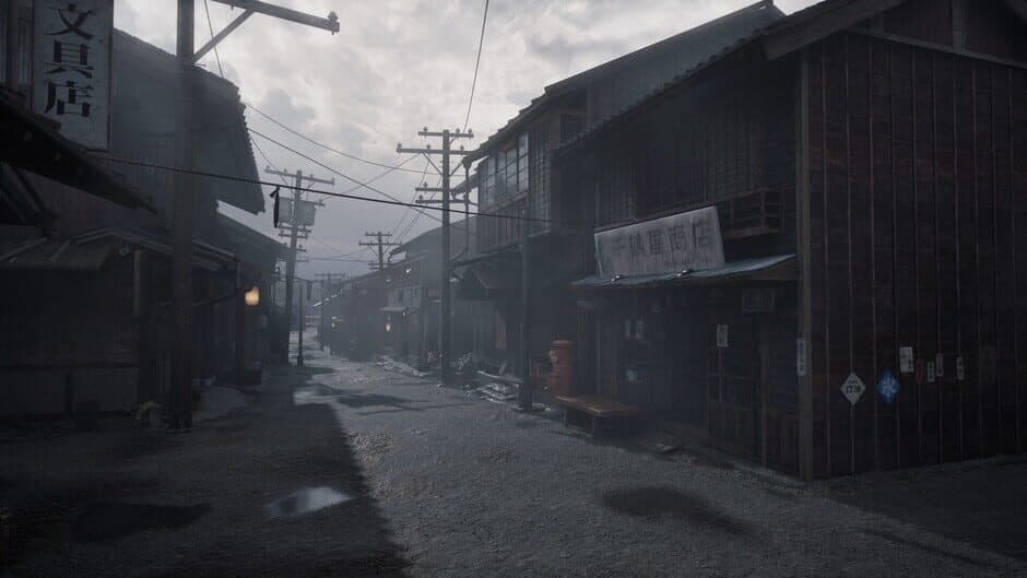Скриншот 3 из Silent Hill f
