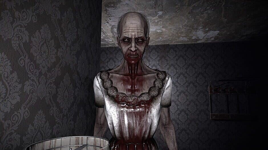 Скриншот 4 из The Maid