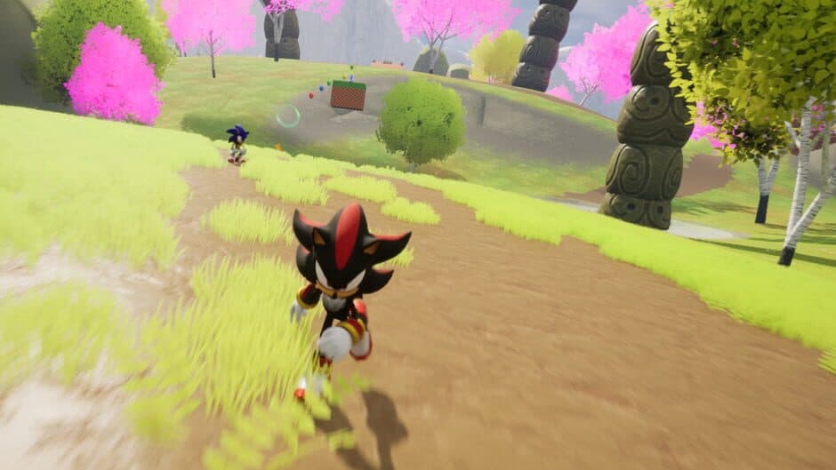 Скриншот 5 из Sonic & Shadow